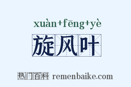 旋风叶是什么意思的图片